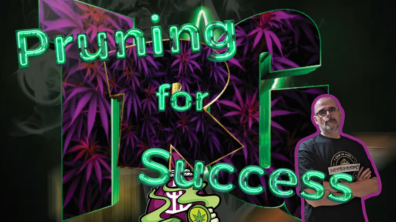 Pruning for Success: Defoliating My Plants #marshydro #fce3000 #ts1000 #vg80