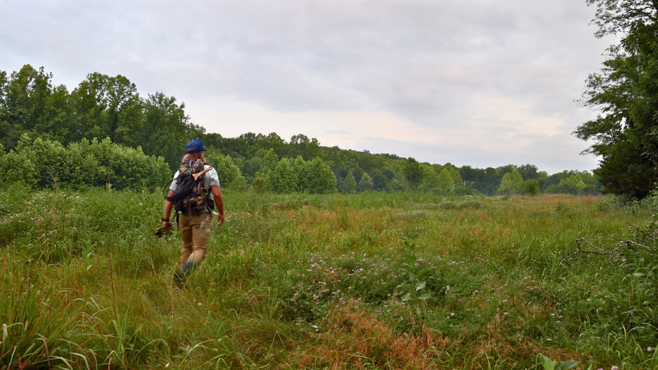 Fly Fishing St. Louis Missouri & close to home