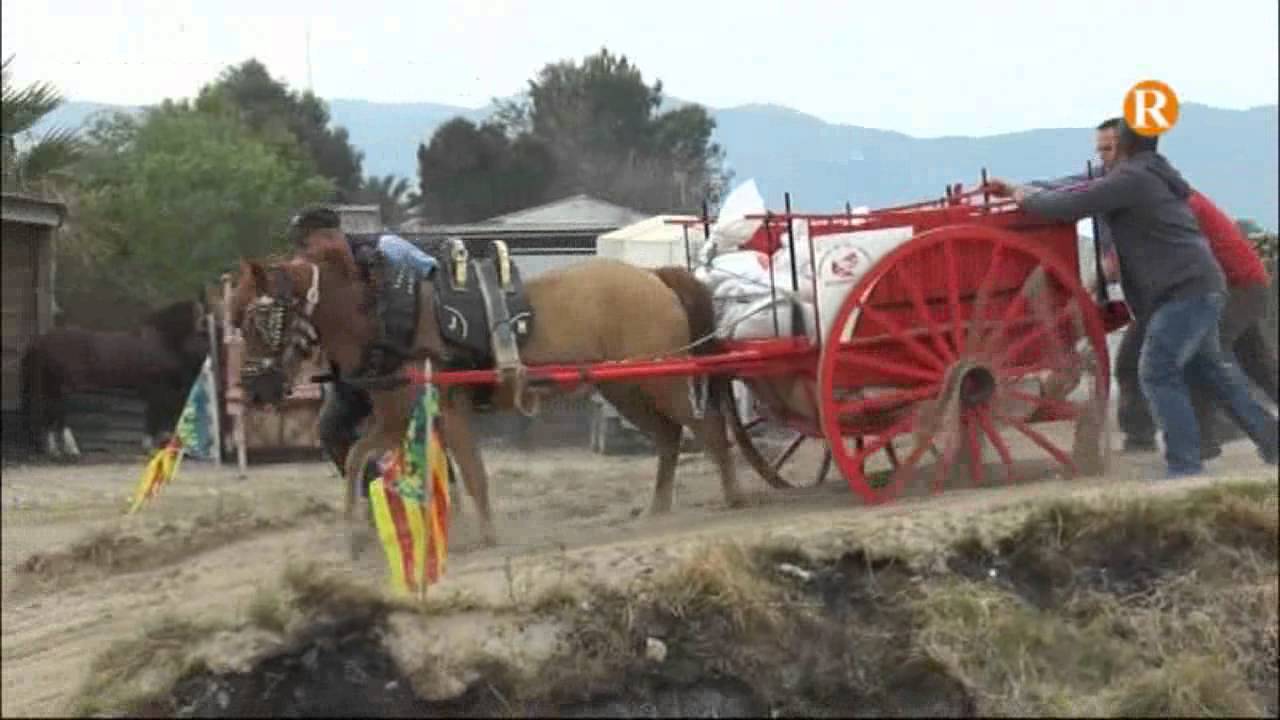 Cullera celebra la 24 edició de Tir i Arrossegament amb motiu de les Festes Majors