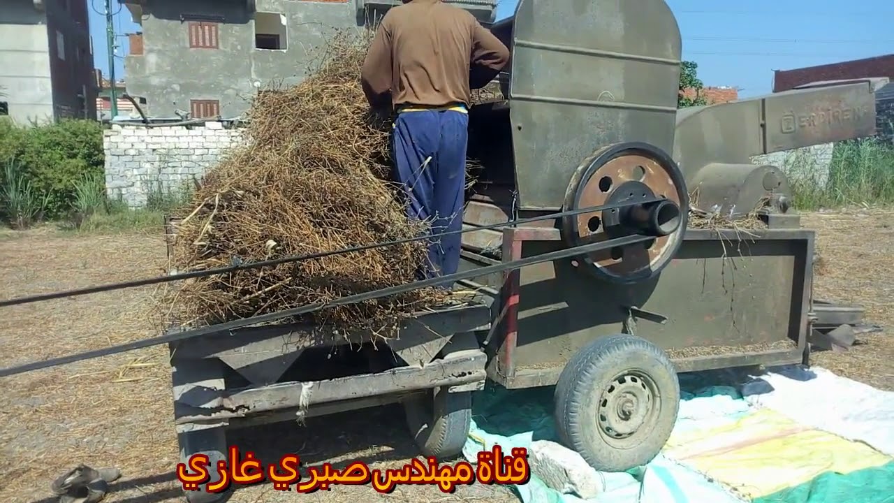 شاهد الة حصاد البرسيم  (كيفية الحصول على تقاوى البرسيم