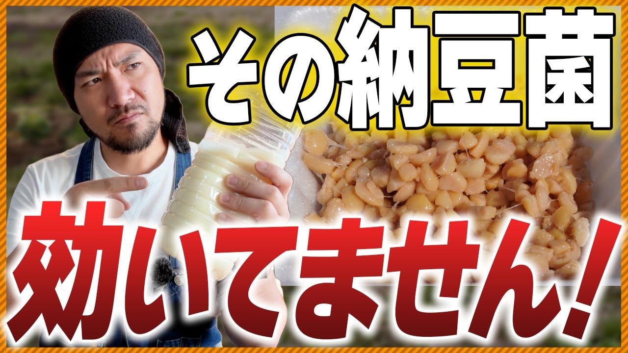 納豆菌培養液 完全版！失敗しない作り方と正しい使い方