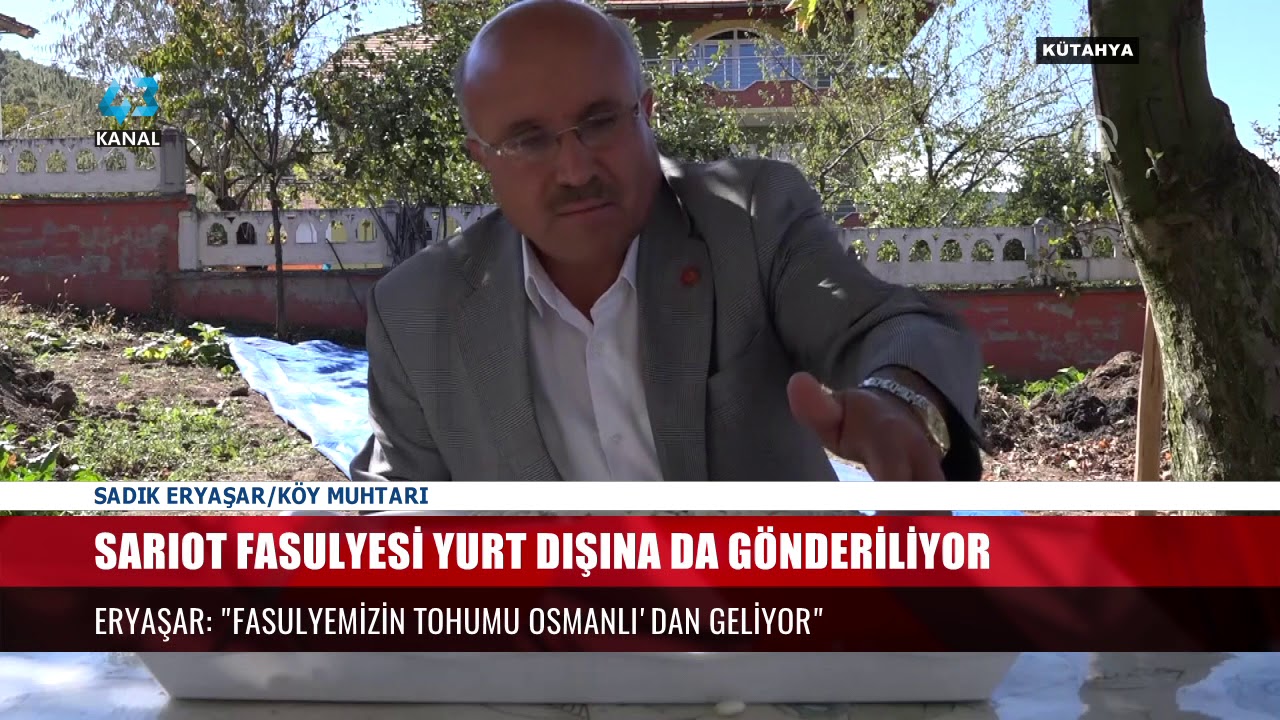 SARIOT FASULYESİ RAĞBET GÖRÜYOR