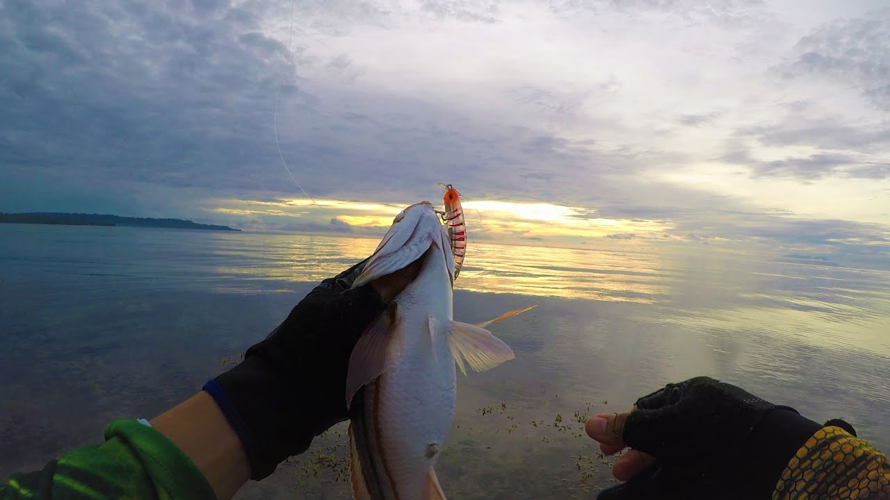 Medium light set up Epi4: shore casting at  Duero Bohol