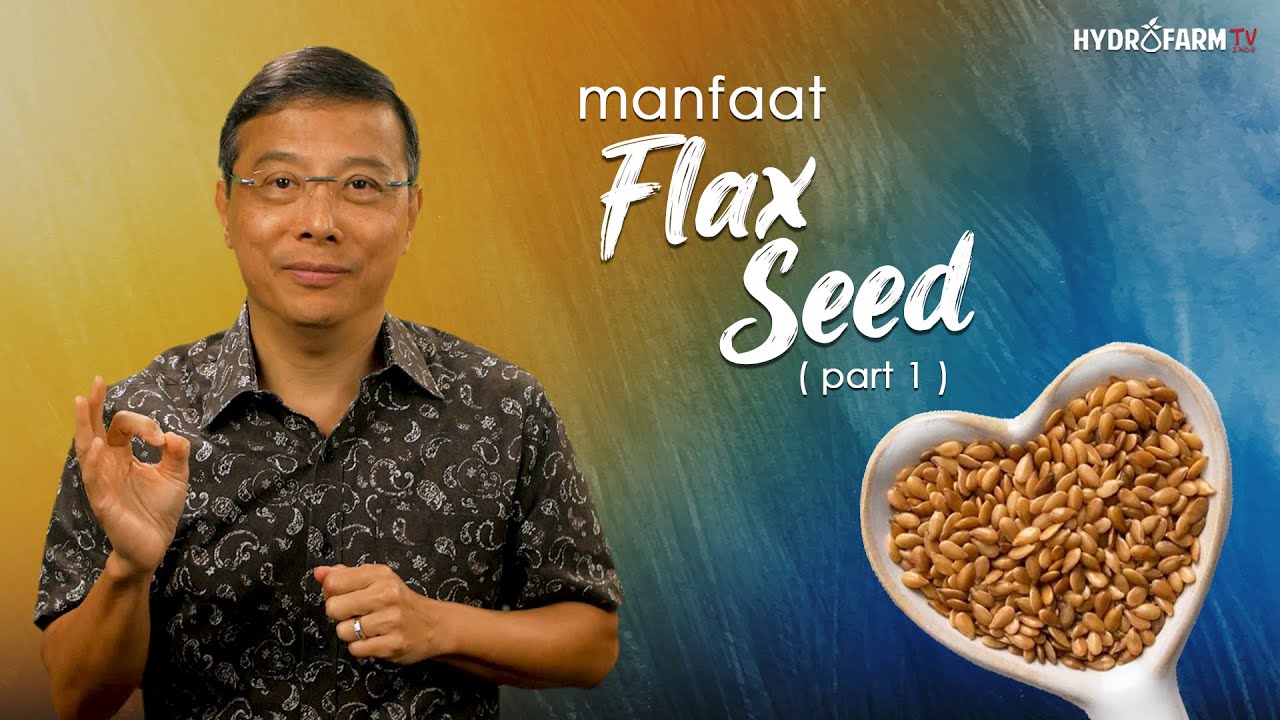 Manfaat FLAXSEED (Biji Rami) - Part 1