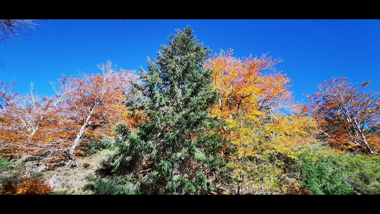 Ezcaray Otoño 2025 