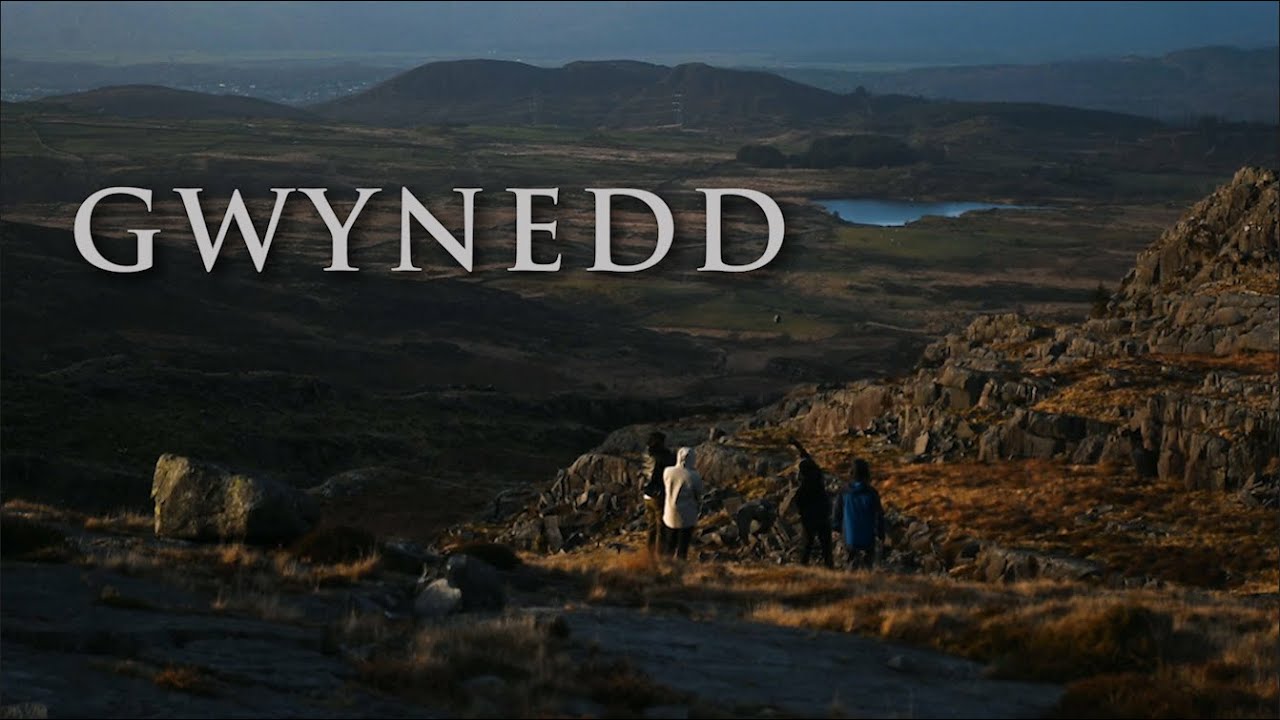 Grown Ups in Gwynedd