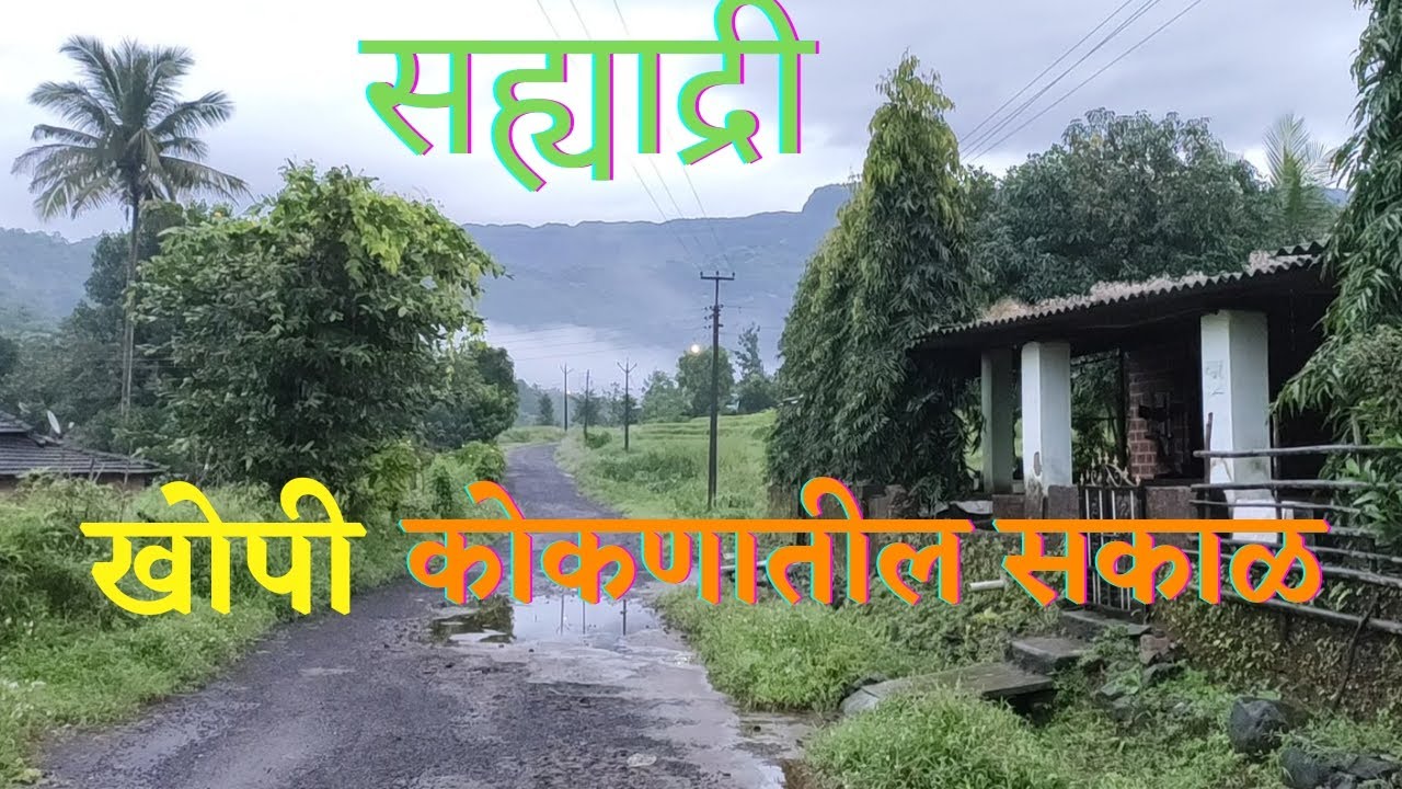 खोपी II कोकणातील सुंदर सोनेरी पहाट / माझं गाव खोपी /