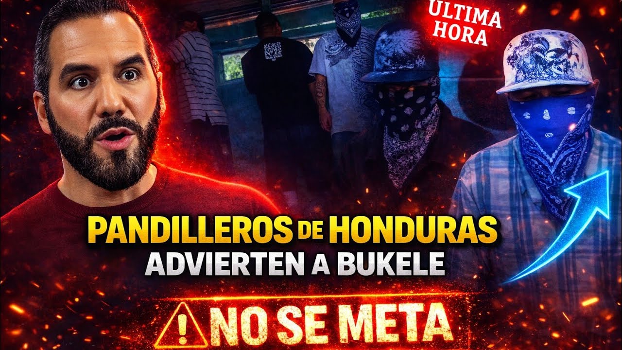 BOMBAZO NAYIB BUKELE NO ESPERABA QUE LA GENTE DE HONDURAS SE MOLESTARA TANTO POR LO QUE EL DIJO 😱