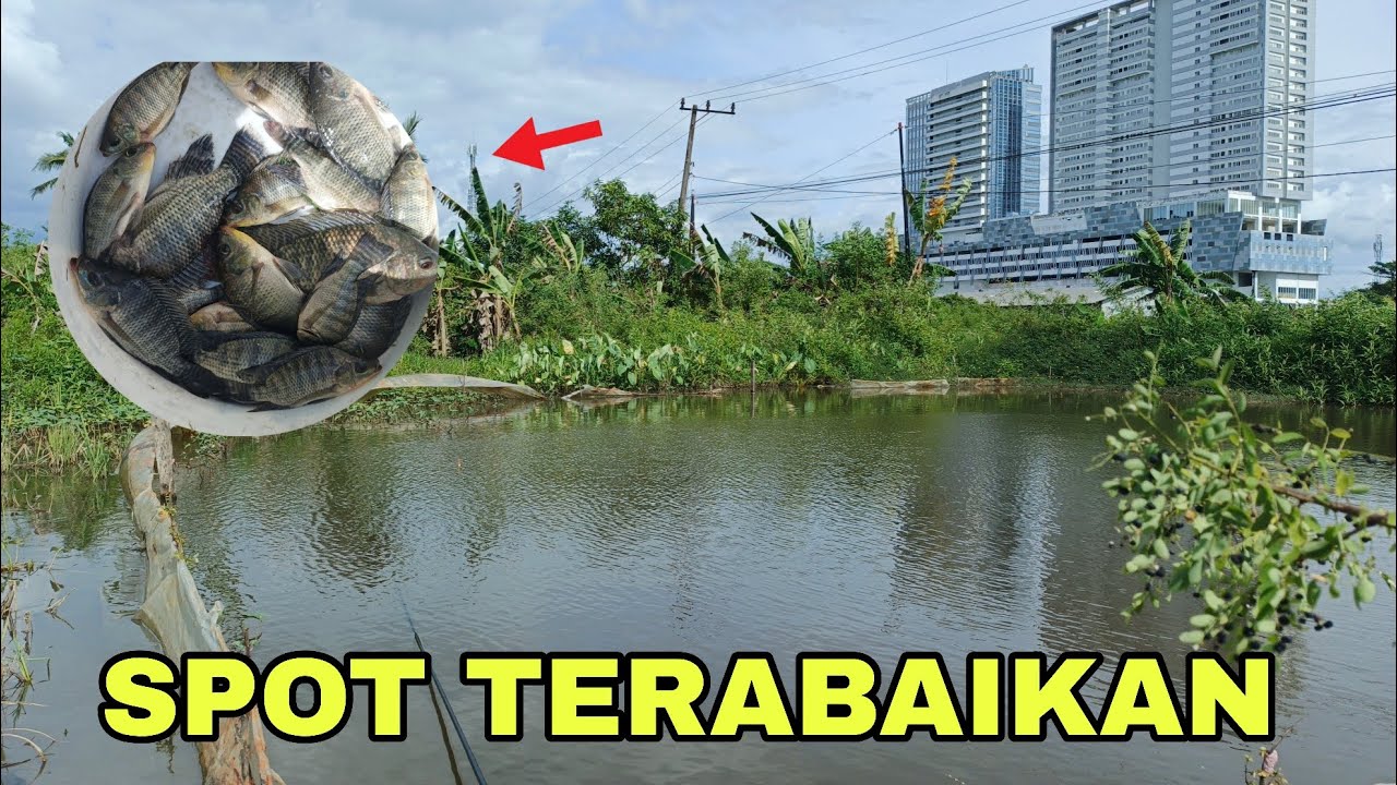 SPOT YANG TIDAK BERPOTENSI ADA IKAN NYA TERNYATA JADI SARANG NYA!! #fishing #mancing #fypシ #fyp 