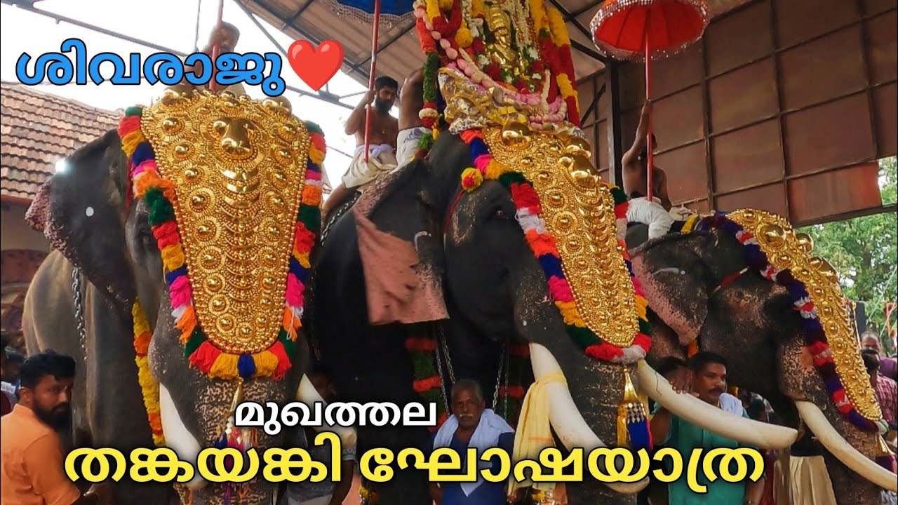 ശിവരാജു നേതൃത്വം വഹിച്ച തങ്കയങ്കി ഘോഷയാത്ര | Thankayanki Ghoshayathra Mukhathala Murari Temple 2023