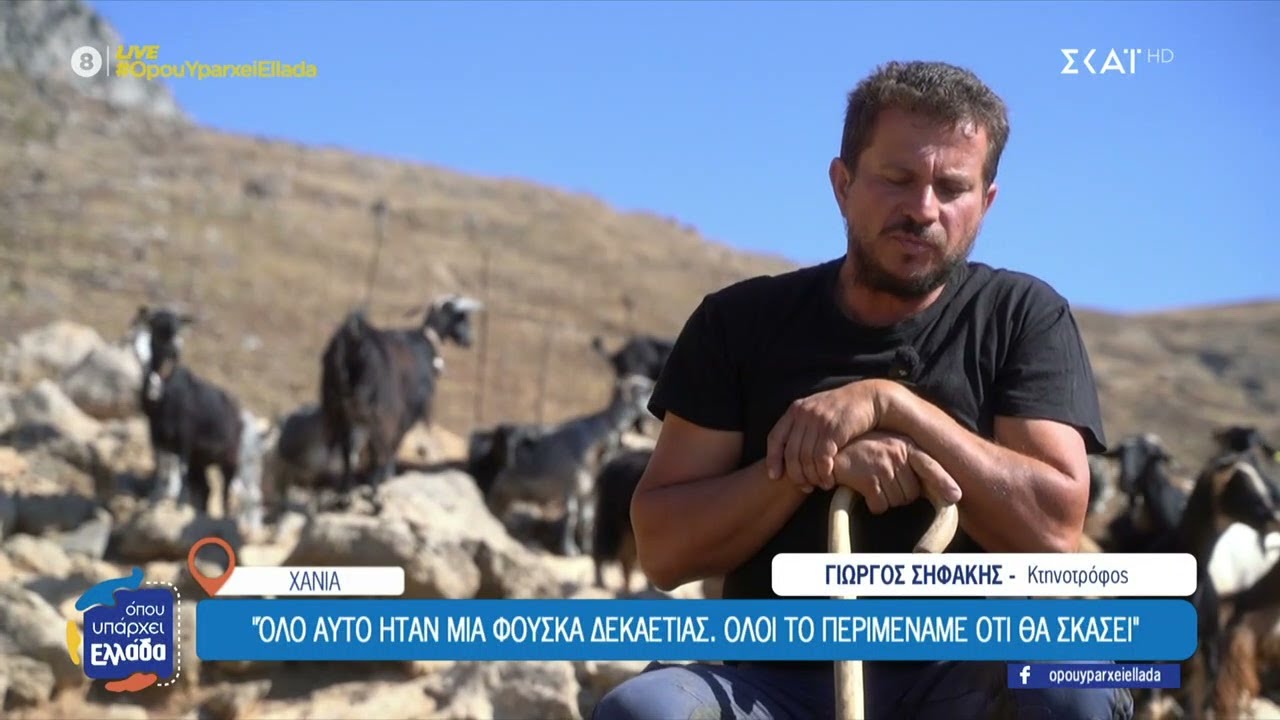 Χωρίς επιδοτήσεις οι κτηνοτρόφοι της Κρήτης λόγω σκανδάλου ΟΠΕΚΕΠΕ–«Την πληρώσουν κι όσοι δε φταίνε»