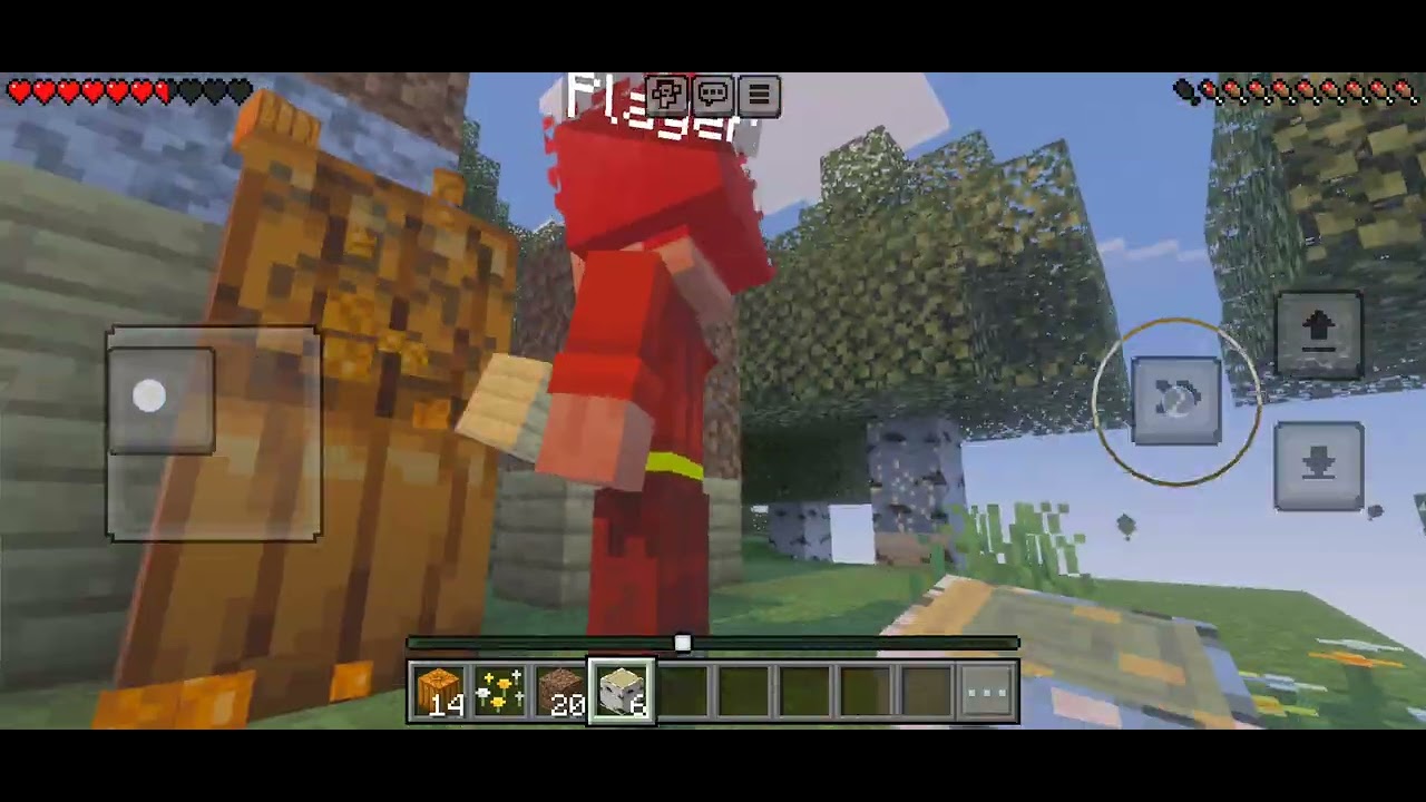 MINECRAFT SURVIVAL PT 1