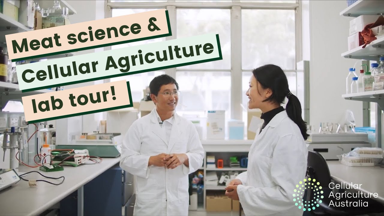 Meat Science & Cellular Agriculture lab tour | University of Melbourne, Australia