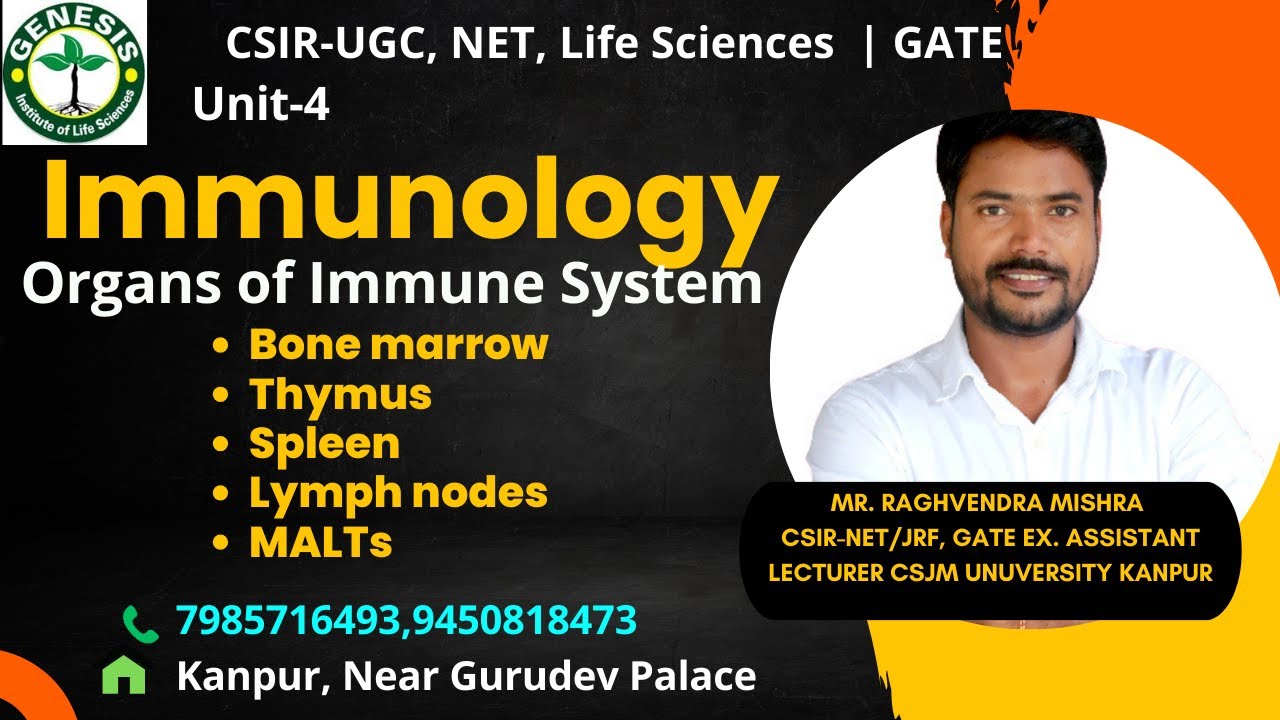 Organs of Immune System | Bone marrow, Thymus, Spleen, Lymph nodes | Immunology#genesis_institute