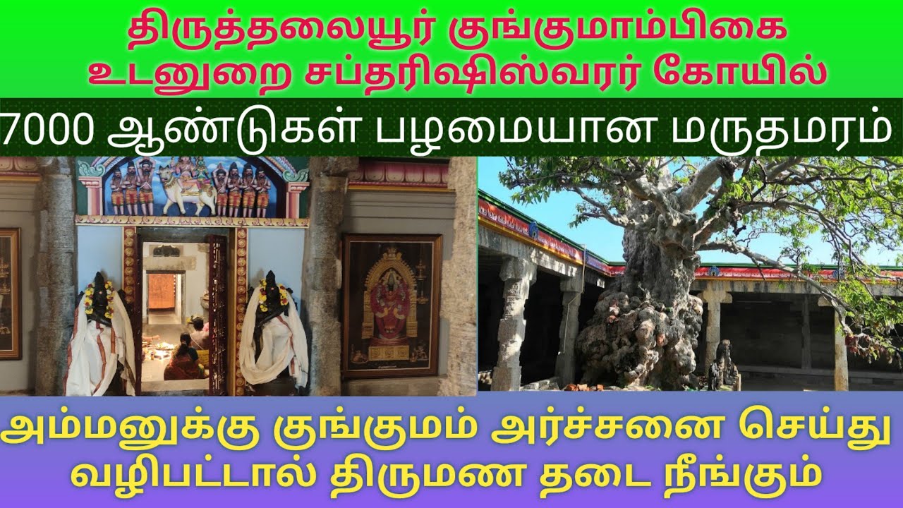 திருத்தலையூர் குங்குமாம்பிகை உடனுறை சப்தரிஷிஸ்வரர் கோயில் | 7000 ஆண்டுகள் பழமை வாய்ந்த மருத மரம் 🌲