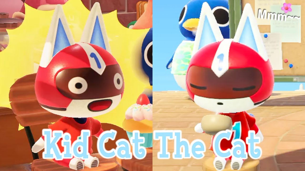 Kid Cat The Cat Jock Villager Animal Crossing New Horizons ACNH