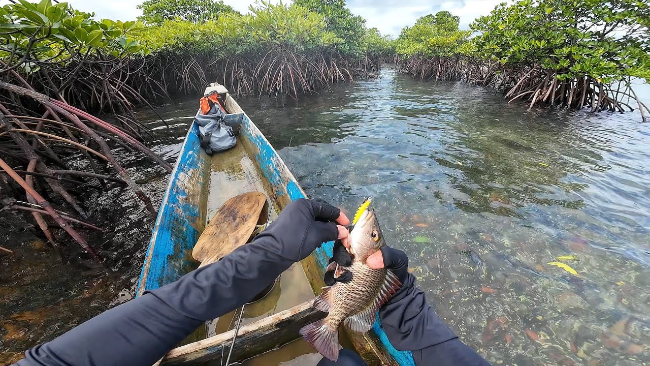 May Memory Pala ang mga ISDA!!