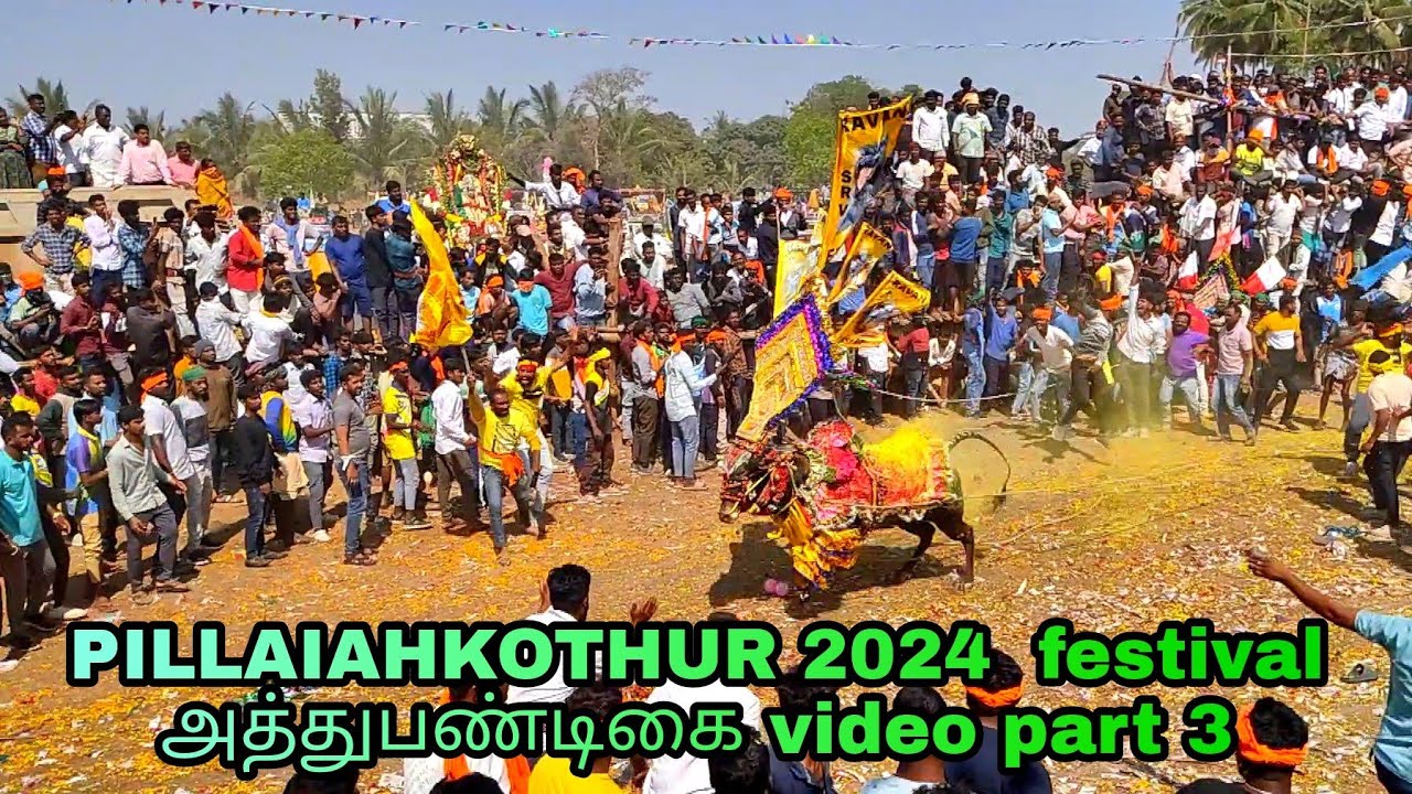 PILLAIAHKOTHUR 2024  festival அத்துபண்டிகை video part 3 @bulletrani8271