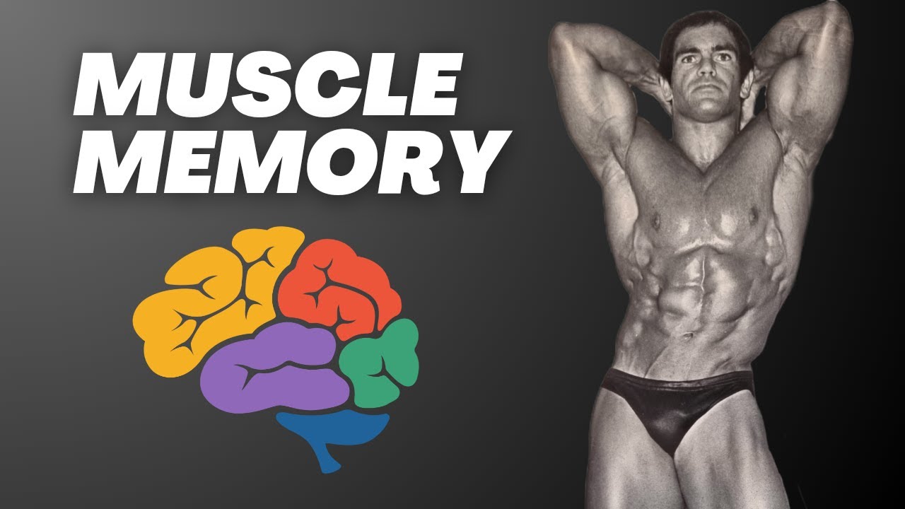 Is Muscle Memory a thing?
