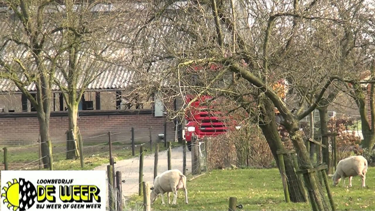 Mesttransport met Scania vrachtwagen