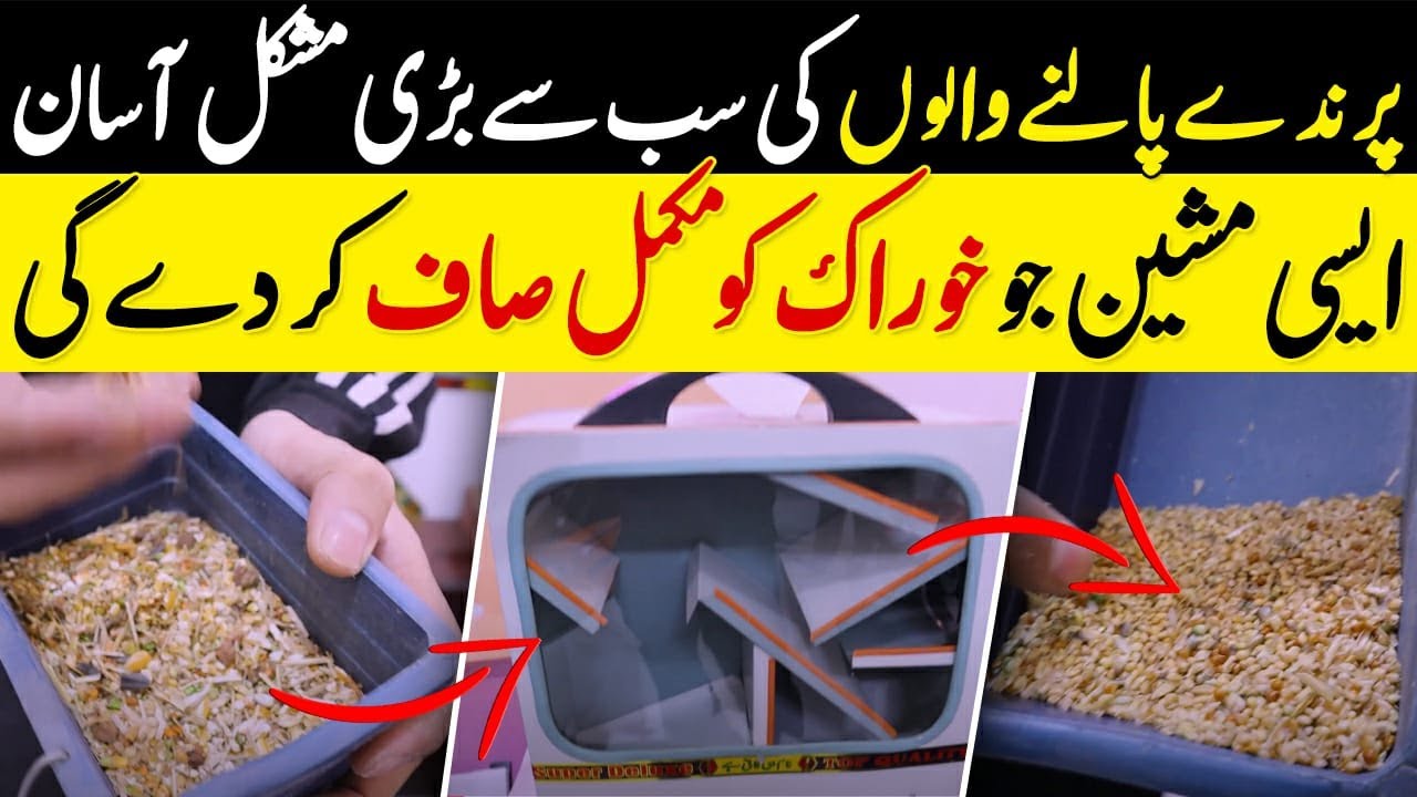 The Must-Have Bird Seed Cleaner Machine for Every Bird Business