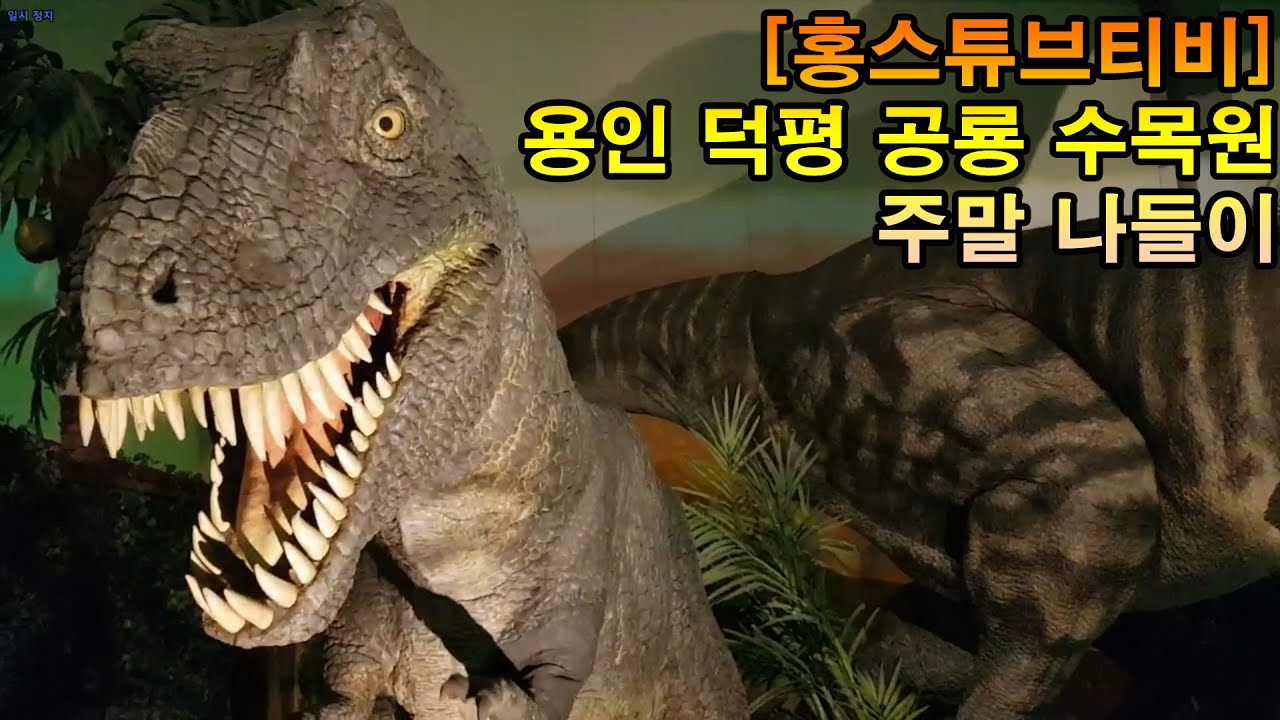 [홍스패밀리] 이천 덕평 공룡수목원 / 주말나들이 / 공룡이 움직여요 / 키즈카페/자연학습현장/ 정말 재미있어요^^