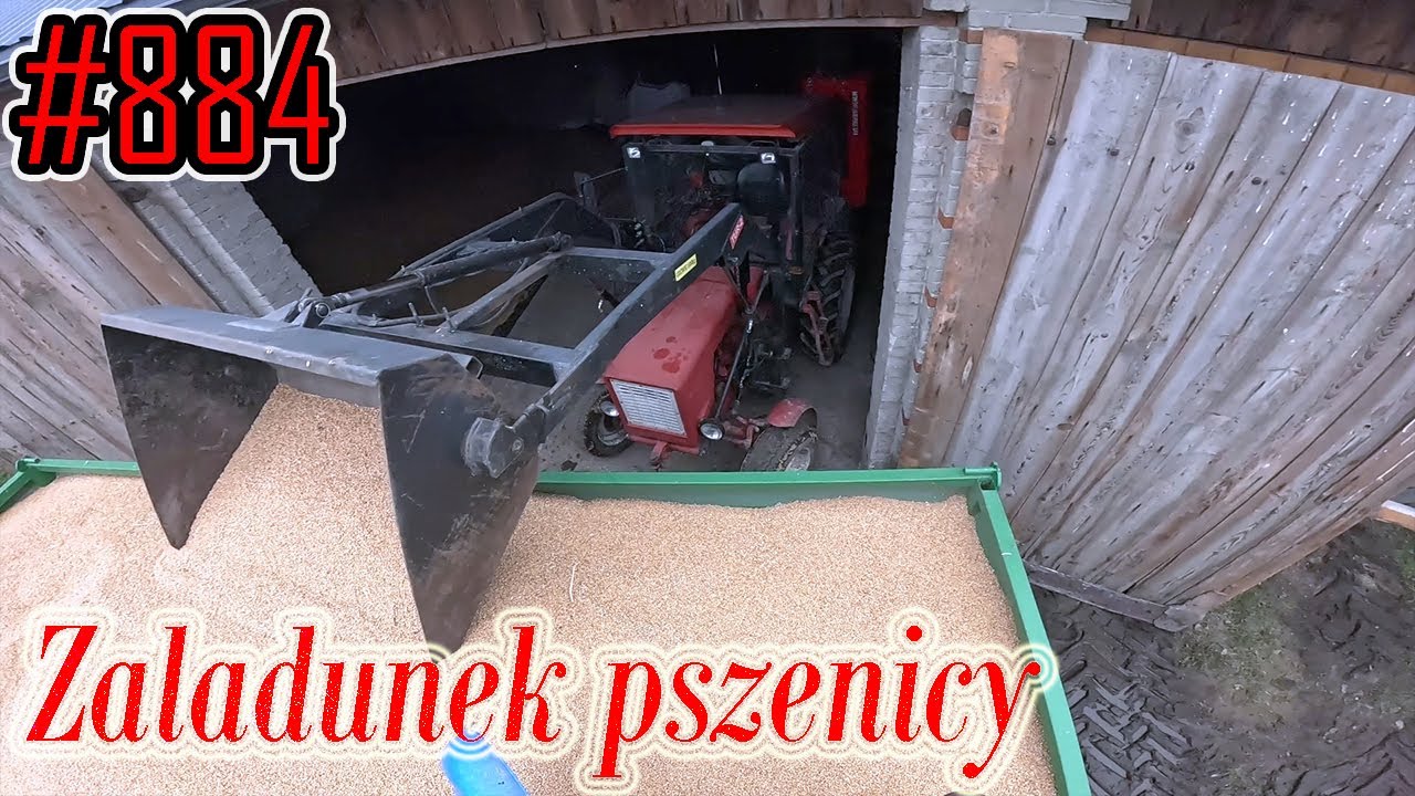 Przygotowanie i załadunek pszenicy na sprzedaż do skupu #884