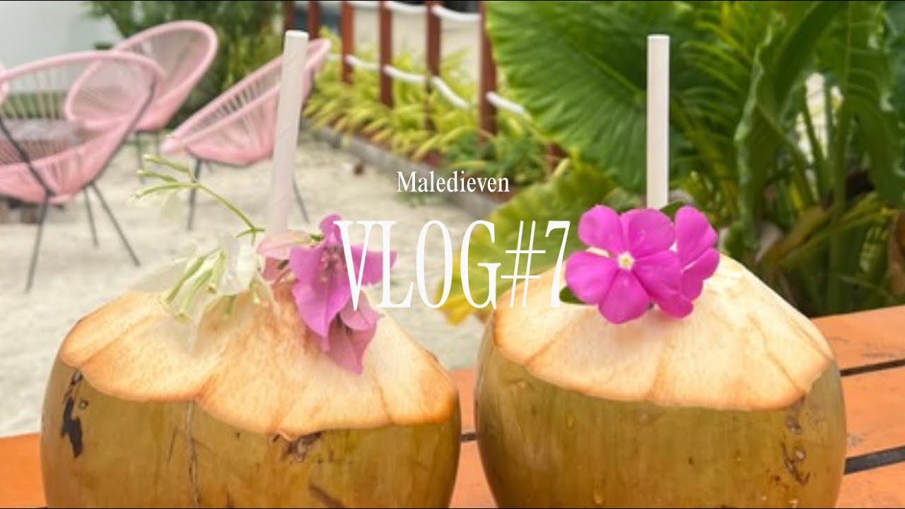 Tag 7 auf den Malediven – Traumtag mit Schildkröten & Dinner, das anders endete 🍜