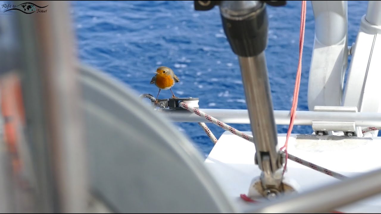 Ep 39: Zwangspause in Porto Pino auf Sardinien - wir segeln zurück Richtung Atlantik (Sailing Anixi)