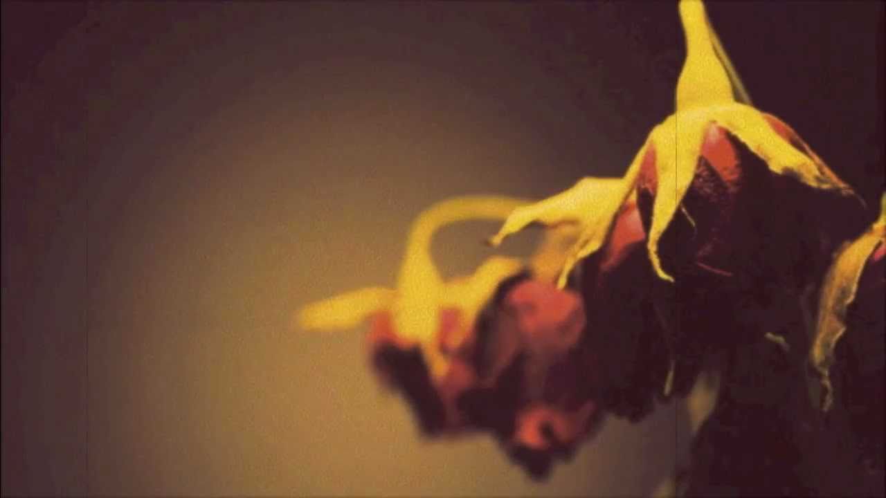 On the Nature of Daylight (Full Piano Cover)