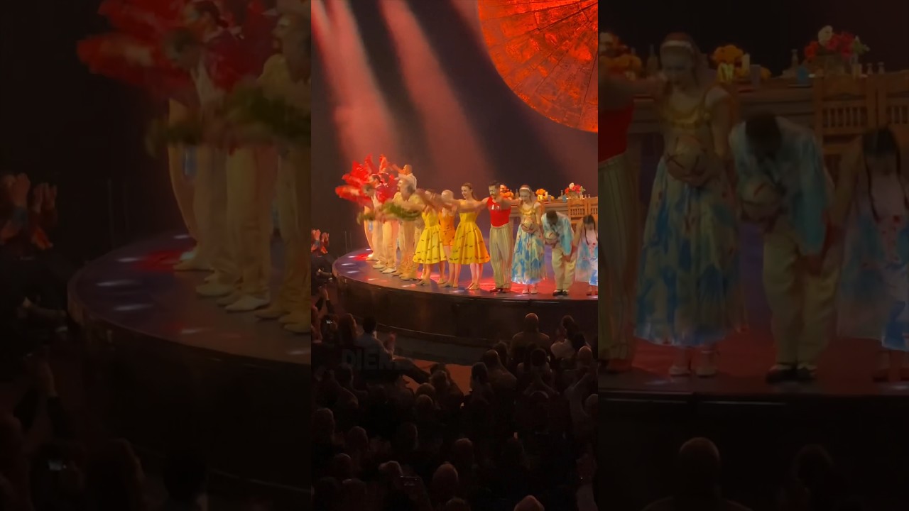 How I get payed as a Circus artist for ✨Cirque du Soleil✨