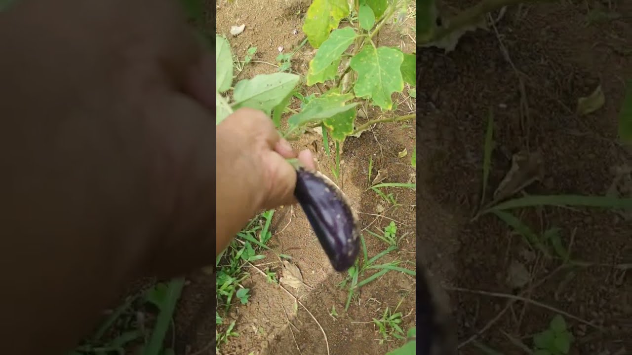 Masaya Na Sa Maliit Na Kita Kesa Hindi Pinapatulog Ng Konsensya