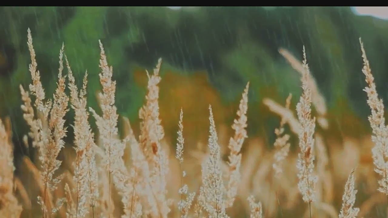 CALME PLUIE