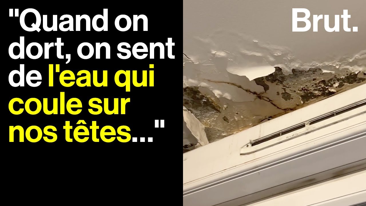 À La Courneuve, ils dénoncent l’insalubrité de leur logement
