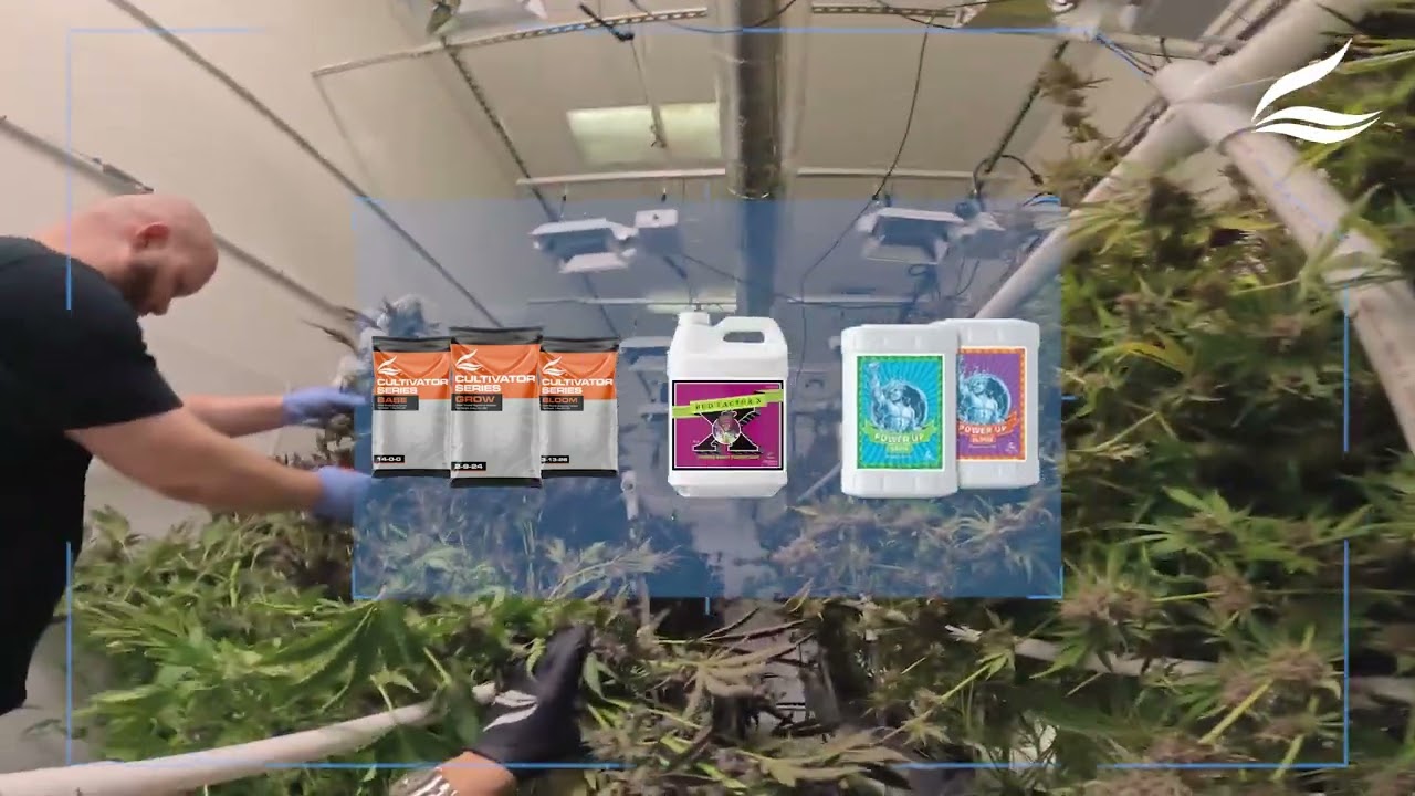 Revolutionize Your Grow with the Cultivator Series