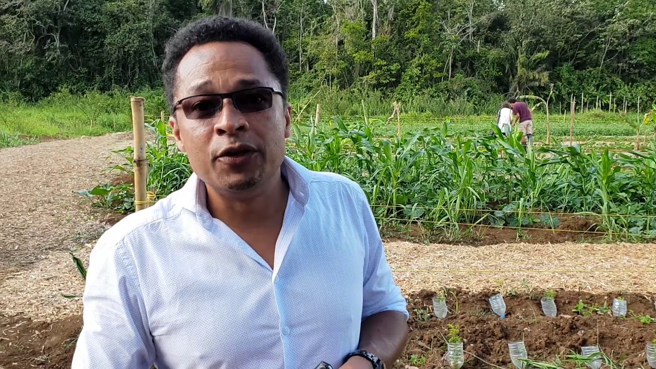 INRA Antilles - Guyane : Les enjeux de la petite agriculture aux Antilles