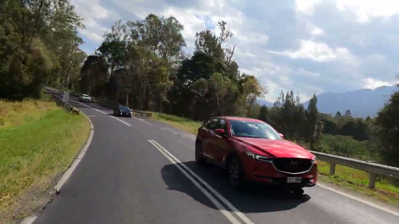 Bellingen to Dangar Falls Scenic Drive in 4K | Real-Time Road Trip in NSW Australia