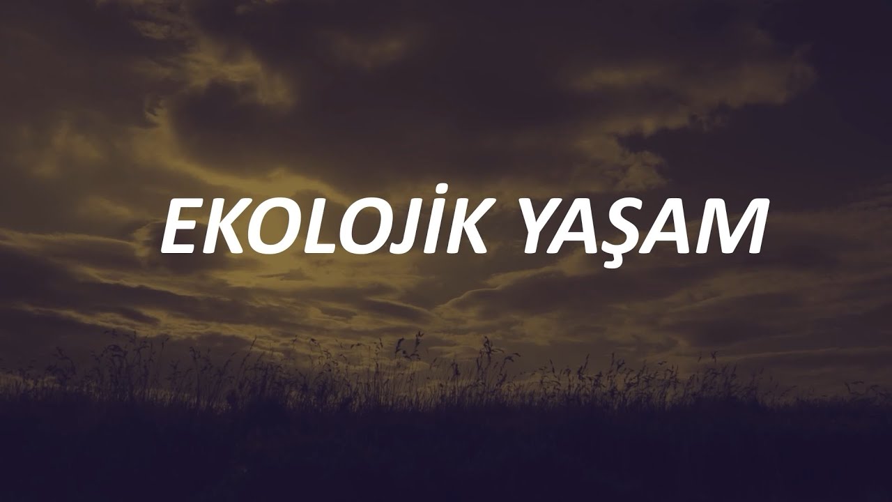 Ekolojik Yaşam -Dersim Paşacık Uskex Köyü