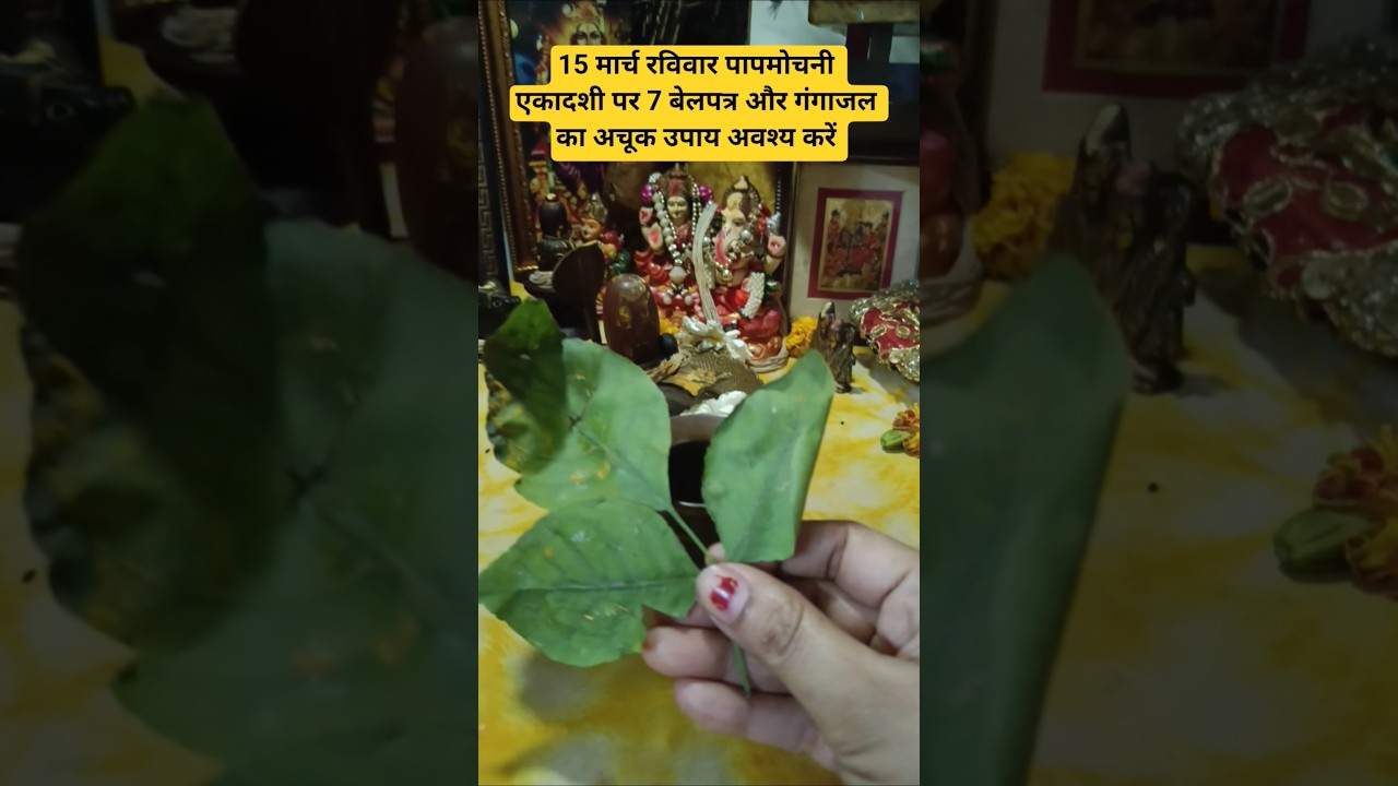 हर हर महादेव 💯🥰🥰 #viral #upay #pradeepmishrakiketotke #astrology #shorts #trending #ytshorts