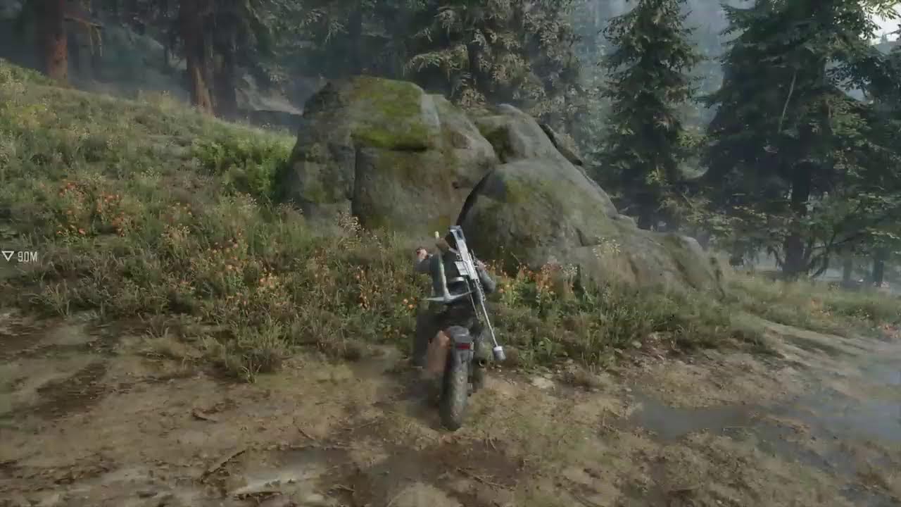DAYS GONE #29