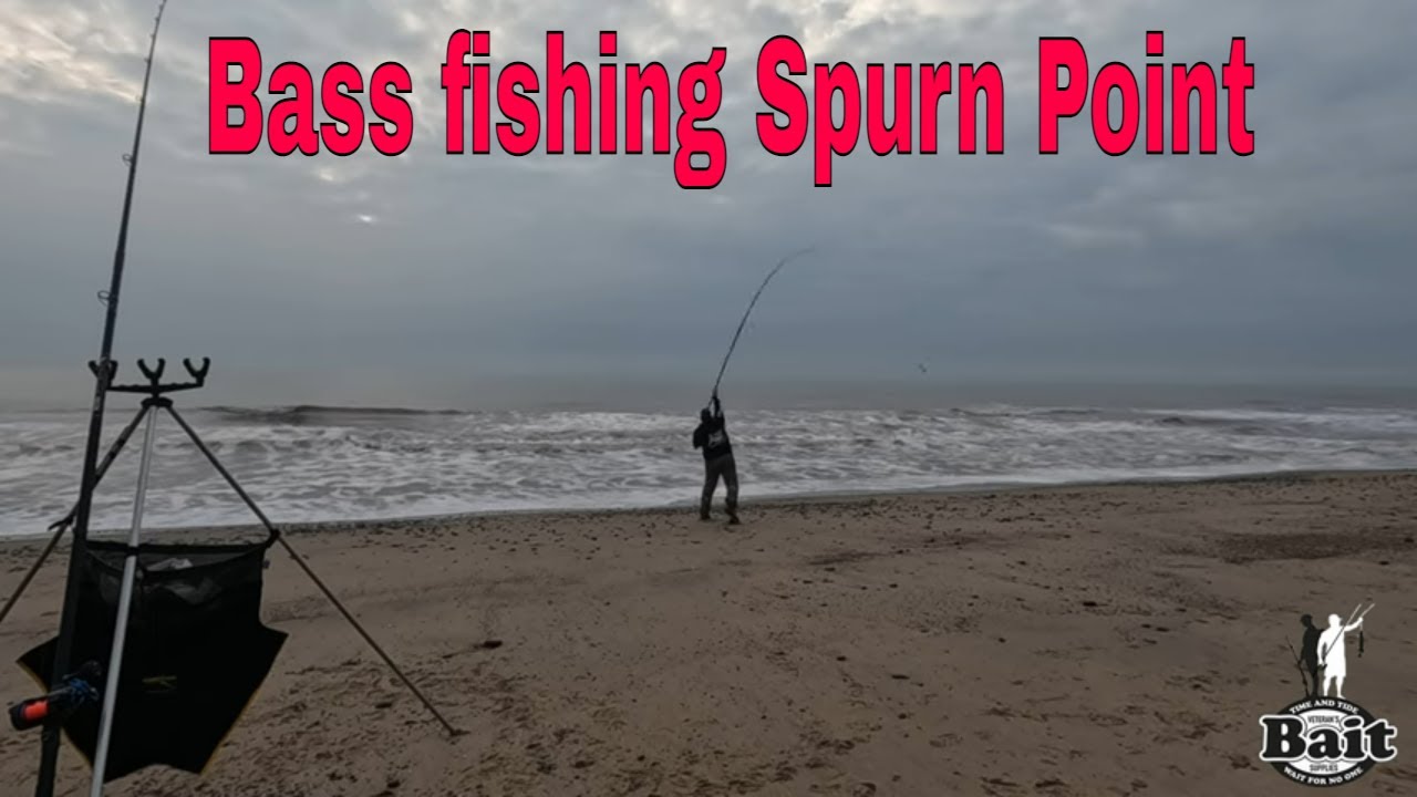 Bass fishing at Spurn road Holderness coast