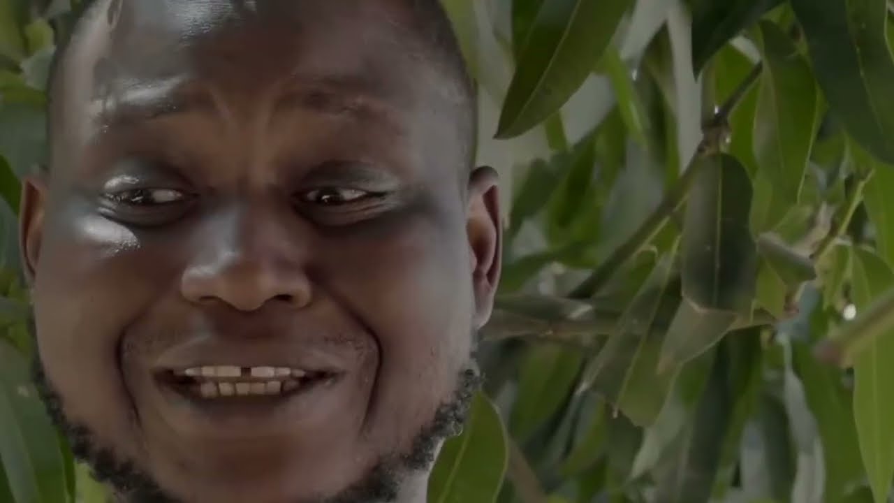 🔥 Ak Maison Sénégal : Résumé Complet de Toutes les Séries Ndogou Li 2025