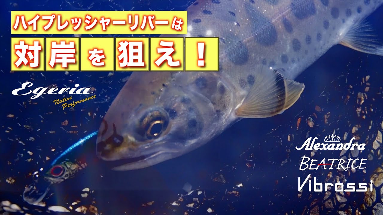 ハイプレッシャーリバーは対岸を狙え！in 魚野川