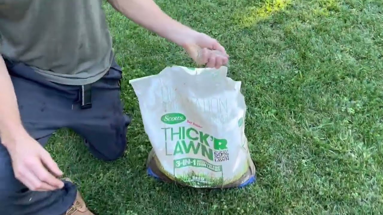 Scotts Turf Builder Thick'R Lawn Sun and Shade, Combination Seed, Fertilizer and Soil Improver Revie