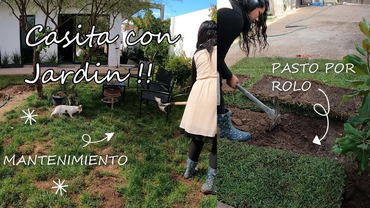 SEMBRANDO PASTO EN ROLLO / TRASFORMANDO  | MEJORA TU CASA DIY #CASITACONJARDIN1