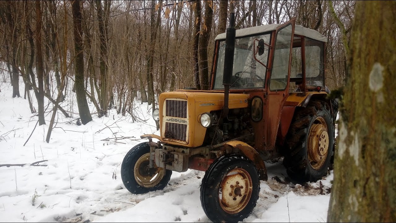 Wyrywanie korzenia sosny Ursusem