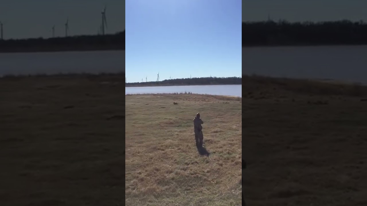 Target shooting with hogs and tannerite!!