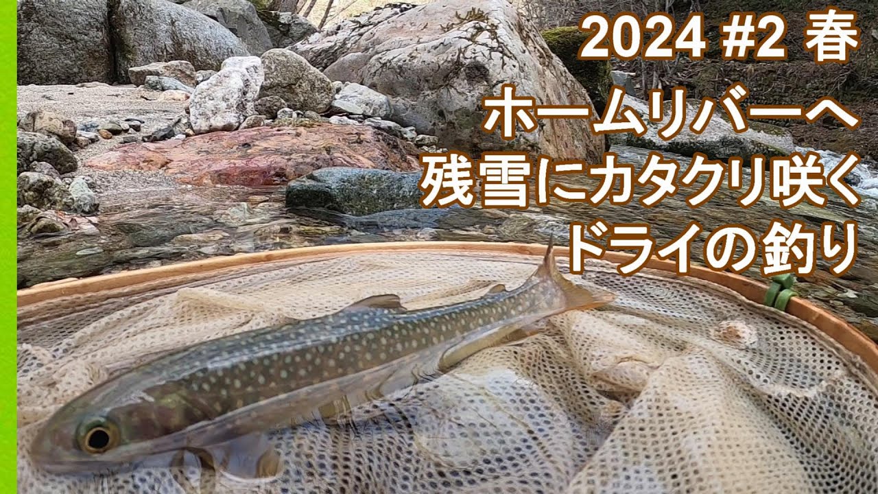 奥会津フライフィッシング、2024＃2春