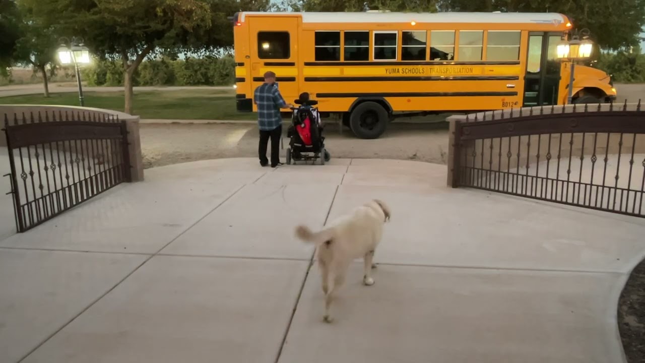 Carter school bus ride “wheelchair adventures, pointing out the cool cars” kinda day. (Wait for it)