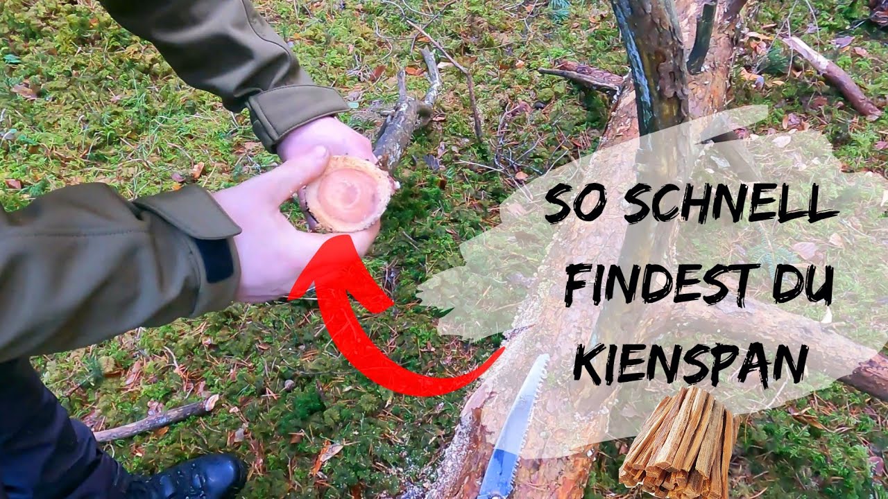 So schnell findest du Kienspan !!! / Kienholz / Firesticks / Bushcraft / Survival / bushcraft_bayern